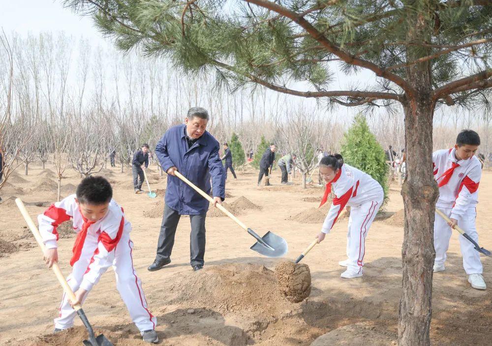 習近平在參加首都義務植樹活動時強調  全民植樹增綠 共建美麗中國